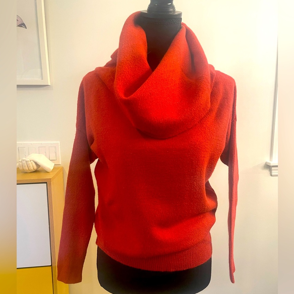 Warm and Cozy turtleneck sweater in rust; size S